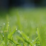 KRHの足場の特徴と選ばれる理由
