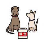 日本ユニセフ協会への寄付方法とは